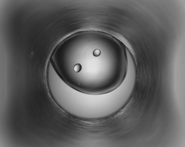 X0000089891388200707121823