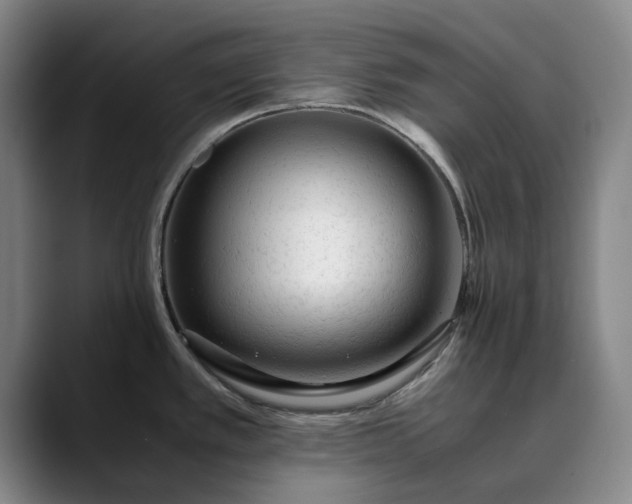 X0000089891389200707121823