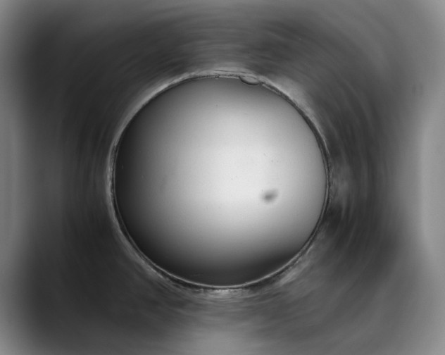 X0000089891390200707121823