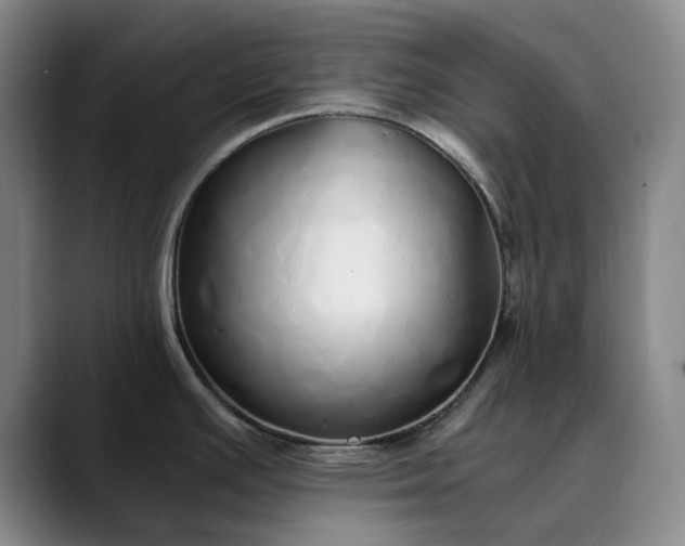 X0000089891391200707121823