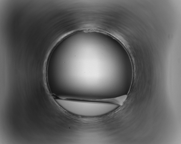 X0000089891392200707121823