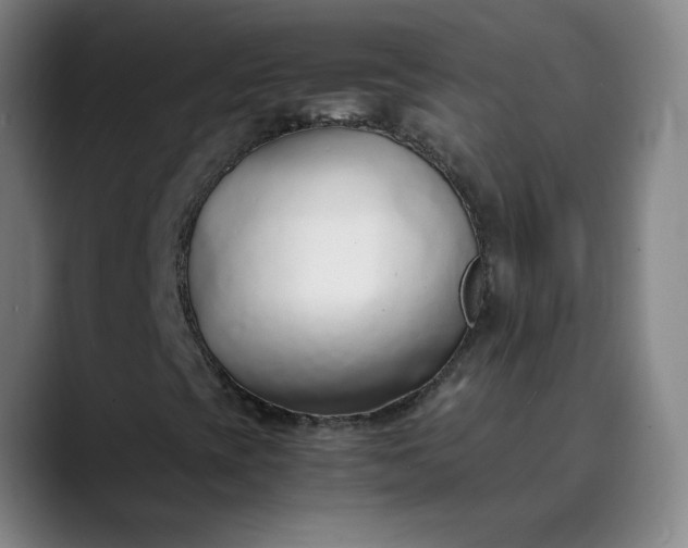 X0000089891393200707121822