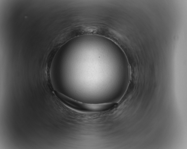 X0000089891394200707121822