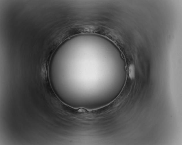 X0000089891395200707121822