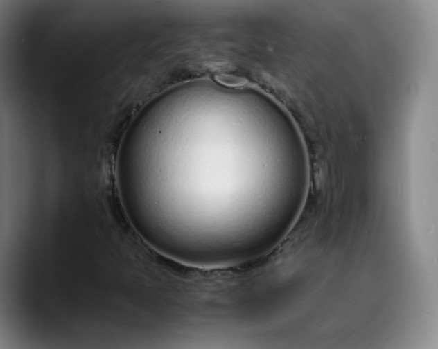 X0000089891397200707121822