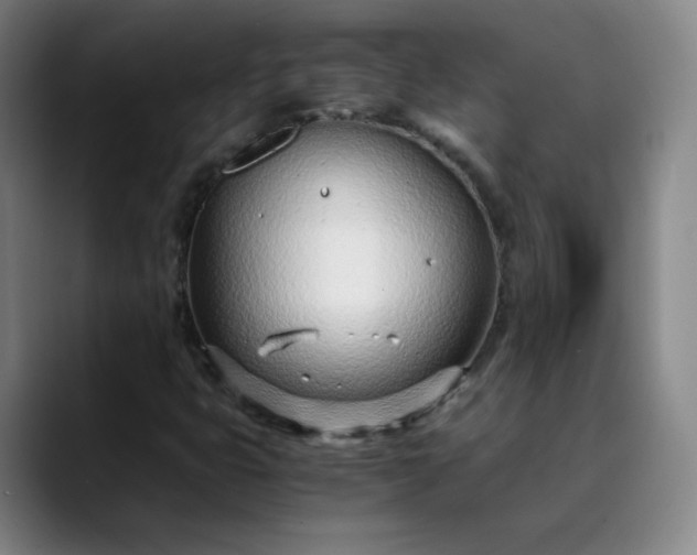 X0000089891399200707121822