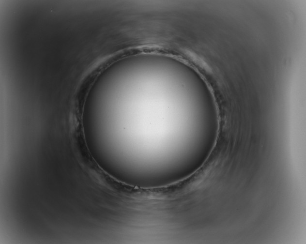 X0000089891400200707121822