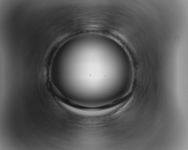 X0000089891402200707121822