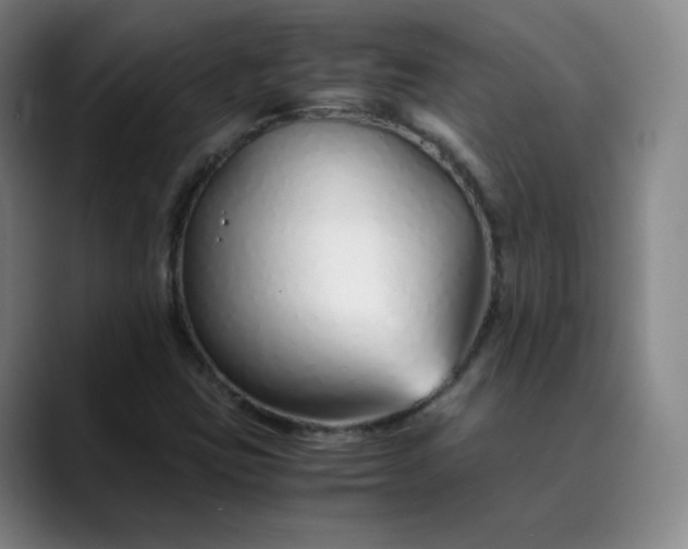 X0000089891403200707121822