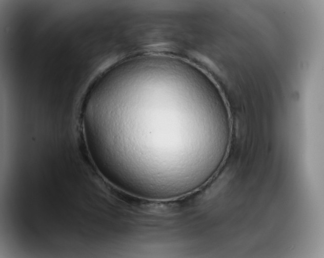 X0000089891405200707121822