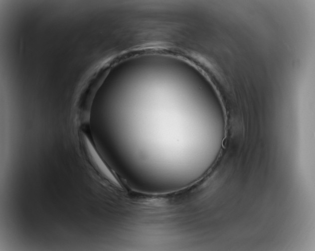 X0000089891406200707121822