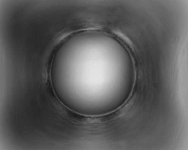 X0000089891407200707121823