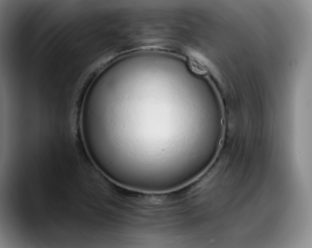 X0000089891411200707121823