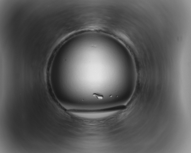 X0000089891412200707121823