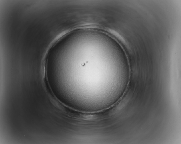 X0000089891413200707121823