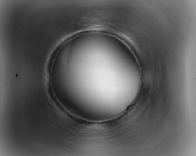 X0000089891414200707121823