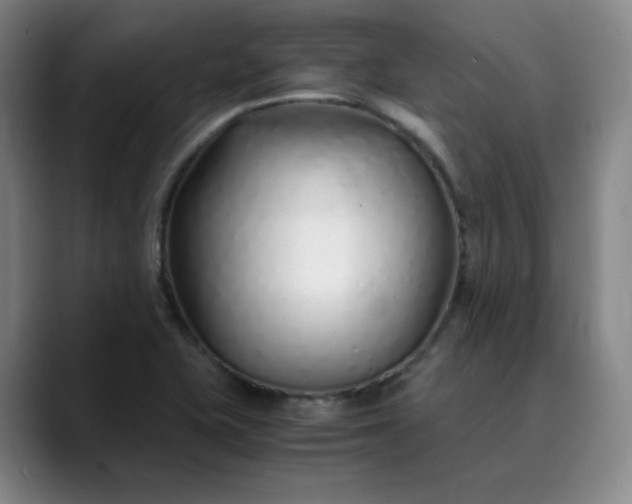 X0000089891415200707121823