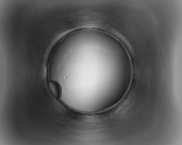 X0000089891416200707121823