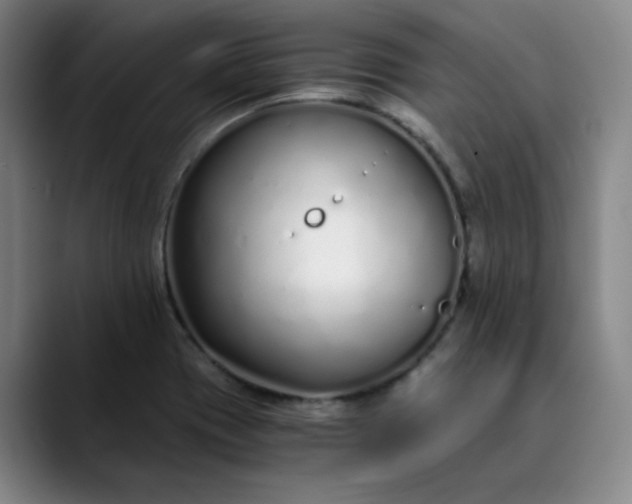 X0000089891417200707121823