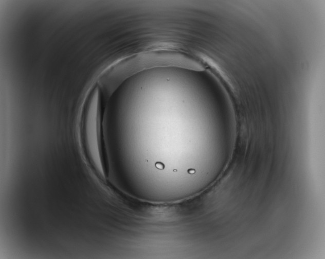 X0000089891418200707121823