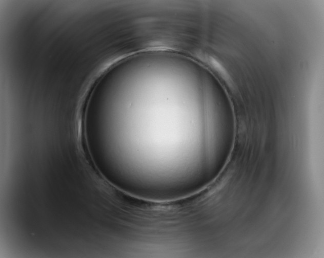 X0000089891419200707121823