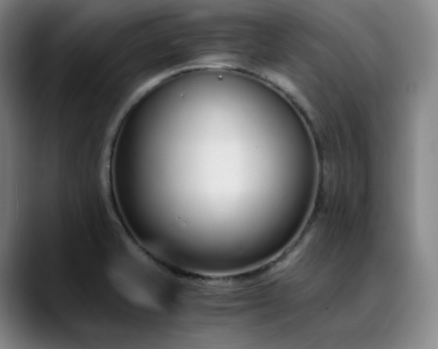 X0000089891421200707121823