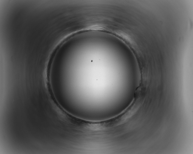 X0000089891422200707121823