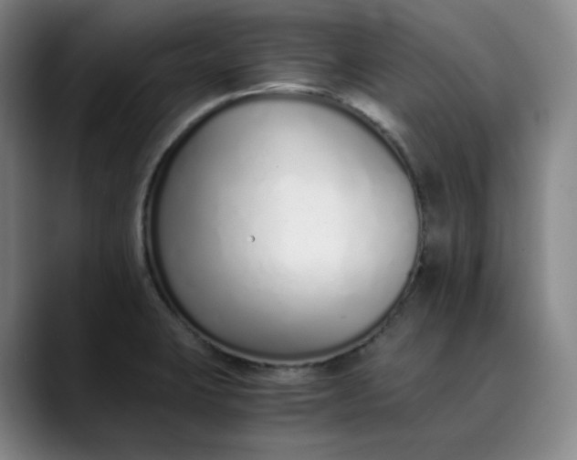 X0000089891423200707121823