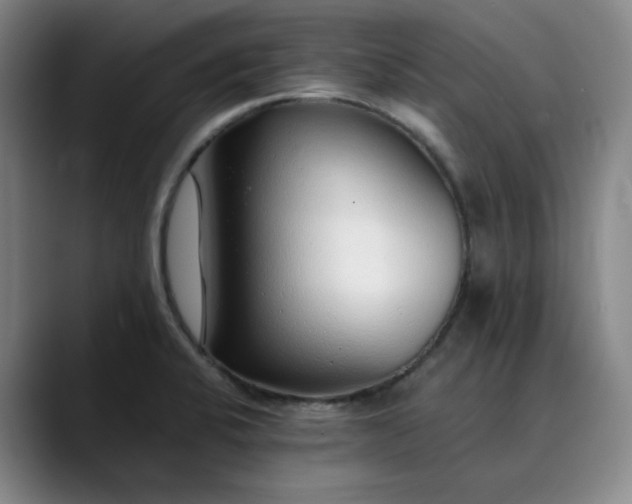 X0000089891424200707121823