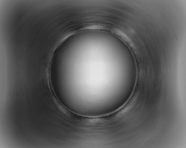 X0000089891425200707121823