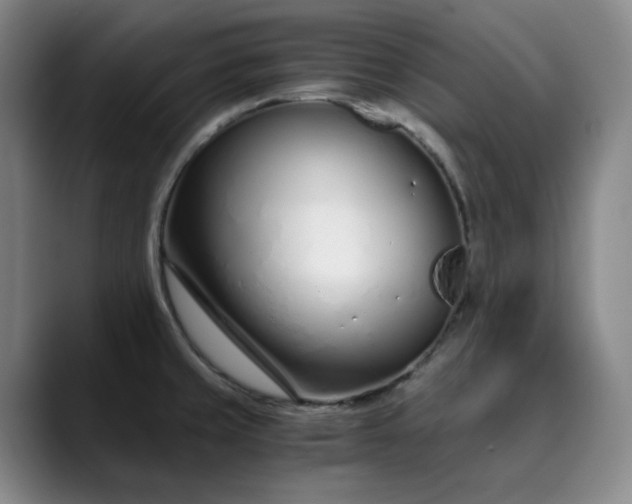 X0000089891429200707121823