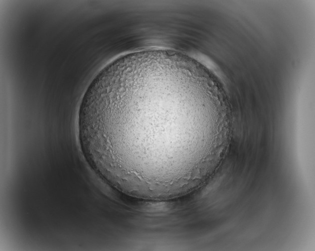 X0000089891431200707121823