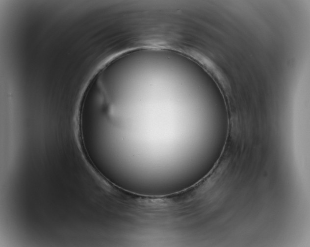 X0000089891432200707121823