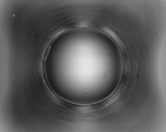 X0000089891434200707121823