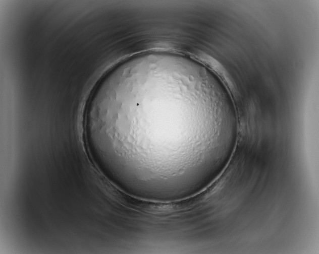 X0000089891435200707121823