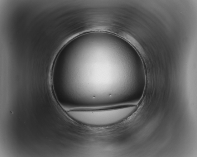 X0000089891436200707121823