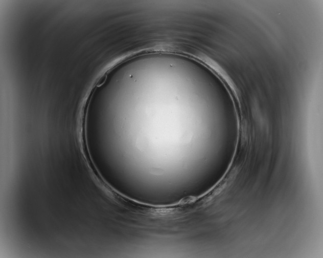 X0000089891437200707121823