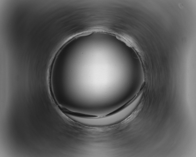 X0000089891438200707121823