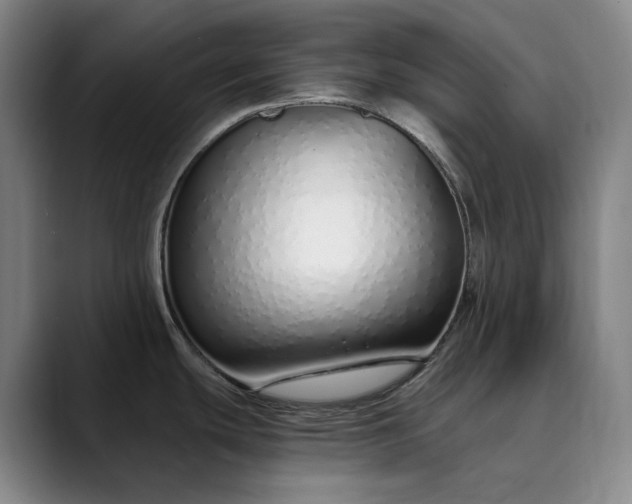 X0000089891439200707121823