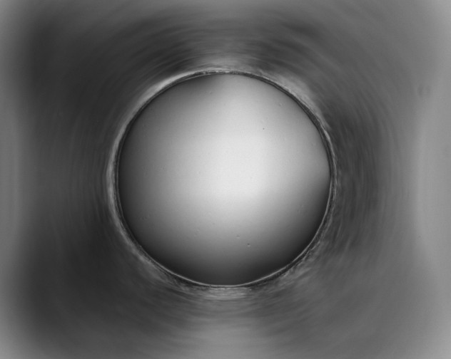 X0000089891440200707121823