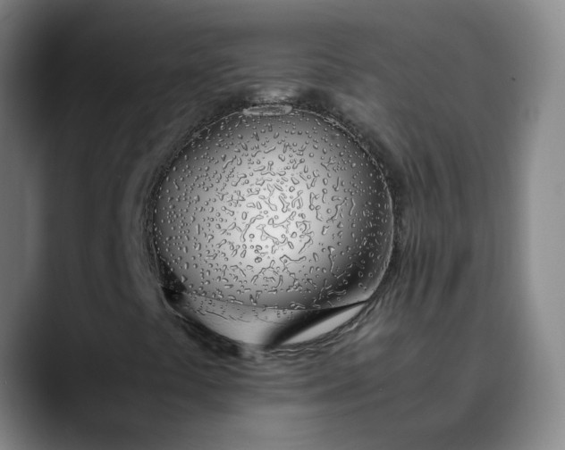 X0000089891441200707121822