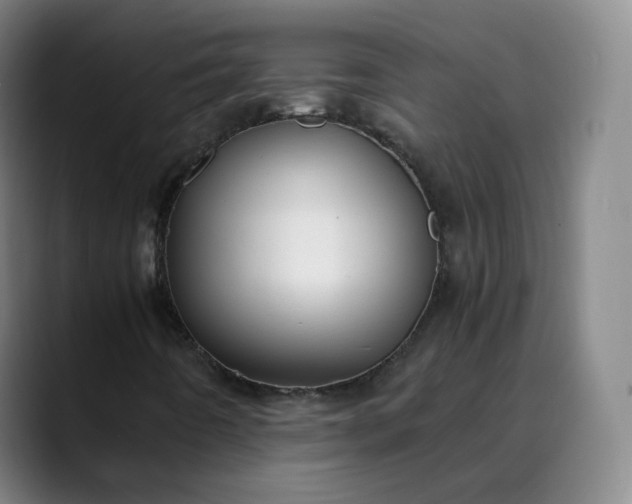 X0000089891442200707121822