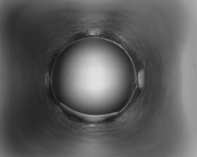 X0000089891443200707121822