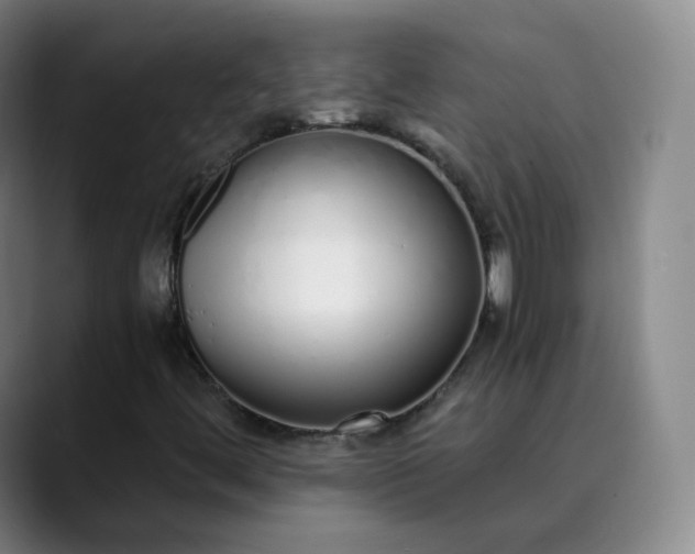 X0000089891444200707121822