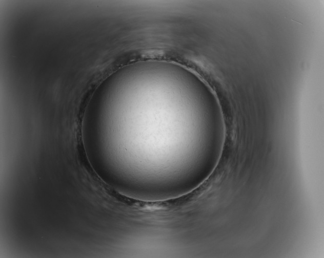 X0000089891445200707121822