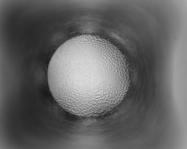 X0000089891446200707121822