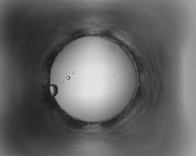 X0000089891447200707121822