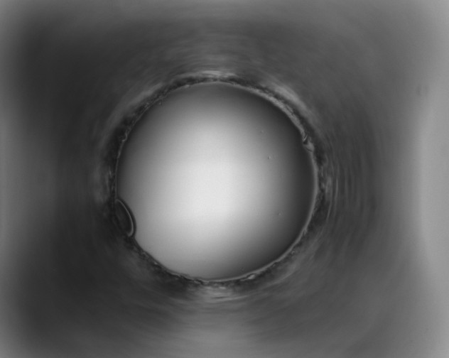 X0000089891448200707121822