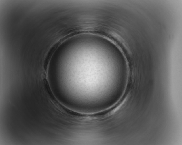 X0000089891449200707121822