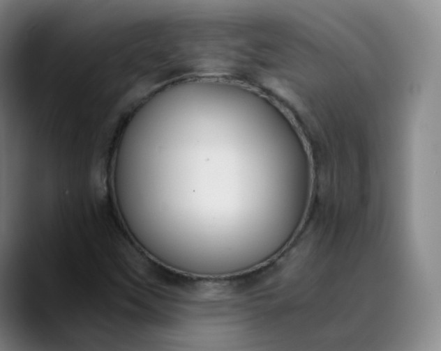 X0000089891451200707121822